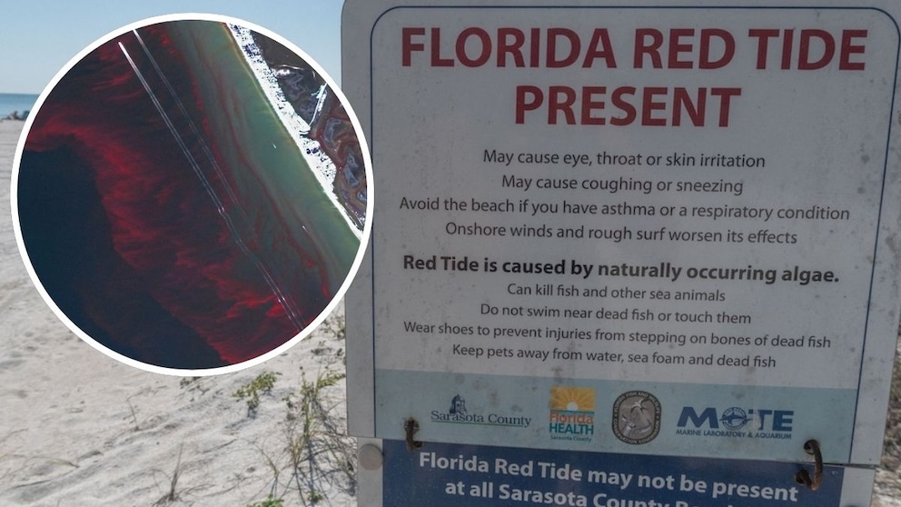 Rote Flut, Florida