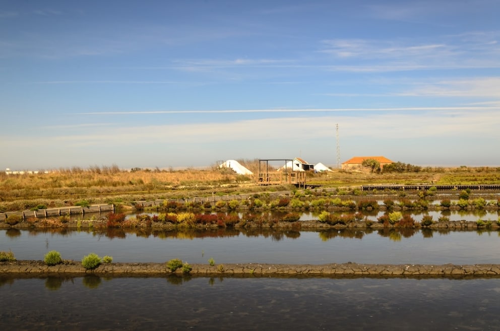 Salinas Aveiro