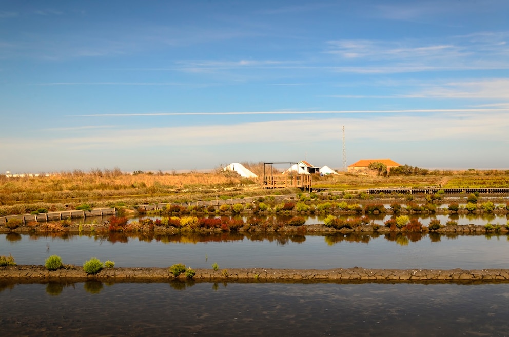 Salinen Aveiro