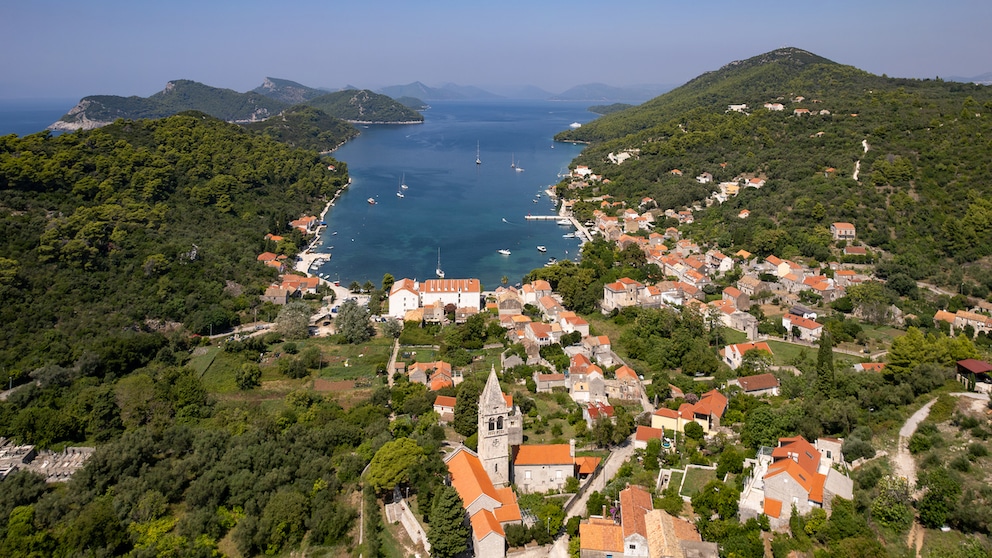 Šipan
