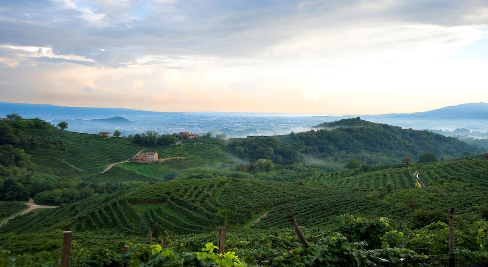 Im März ist es auf den Prosecco-Hügeln warm genug für ausgedehnte Wanderungen