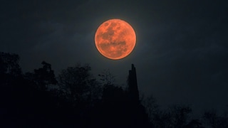 In der Nacht vom 13. auf den 14. März wird man in Deutschland einen Blutmond beobachten können