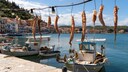 Food-Regionen