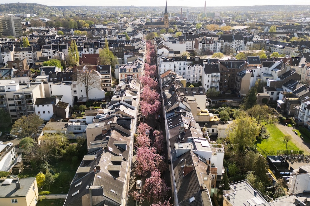 Ein rosa Himmel spannt sich in der Heerstraße zwischen den Häusern auf