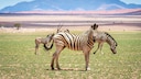 Namibia Impfungen