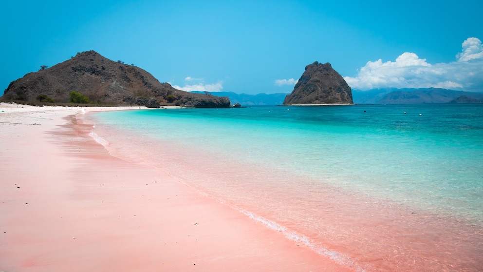 Der Komodo Nationalpark