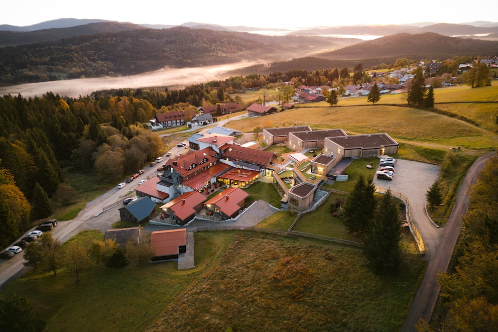 Das Hunderesort Waldeck in Bayern