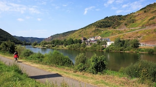 Entlang der Mosel verlaufen viele Radwege, perfekt für längere Radtouren