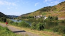 Entlang der Mosel verlaufen viele Radwege, perfekt für längere Radtouren