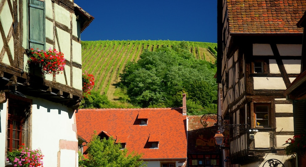 Riquewihr gilt als eines der schönsten Dörfer Frankreichs ist unweit der deutschen Grenze entfernt