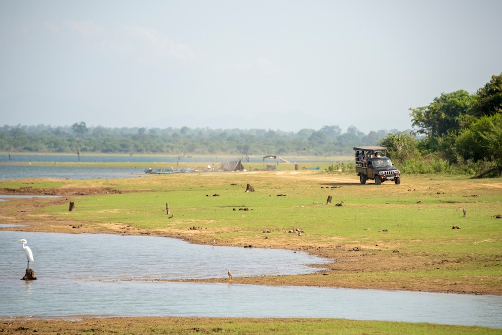 Der Yala-Nationalaprk ist die Adresse für eine Safari in Sri Lanka