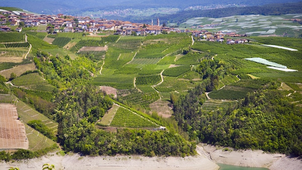 Trentino Geld