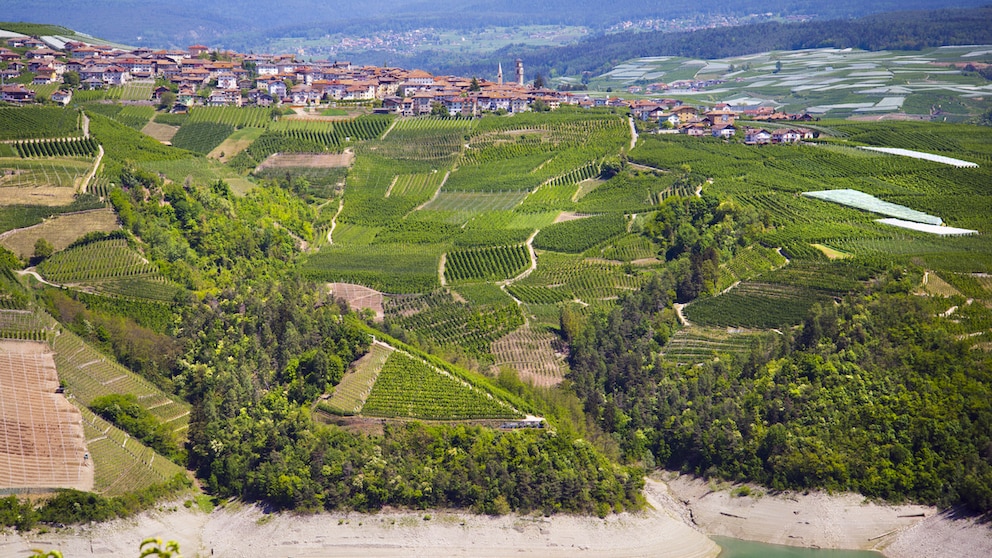 Trentino Geld