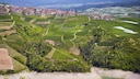 Trentino Geld
