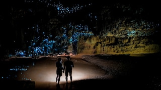 Waitomo-Höhlen