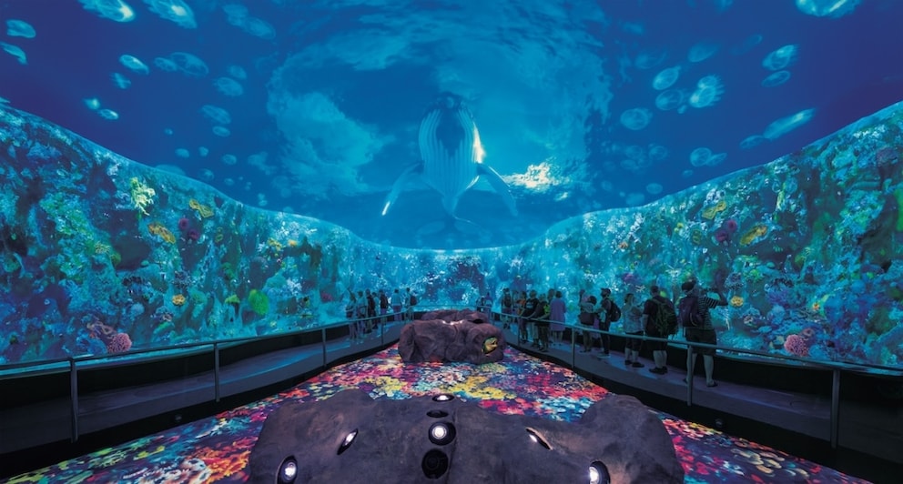 In 'Loro Parque' is one of the world's largest artificially created coral reefs