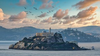 Die Gefängnisinsel Alcatraz liegt zwar nur 1,5 Kilometer von San Francisco entfernt, dennoch galt sie als fluchtsicher