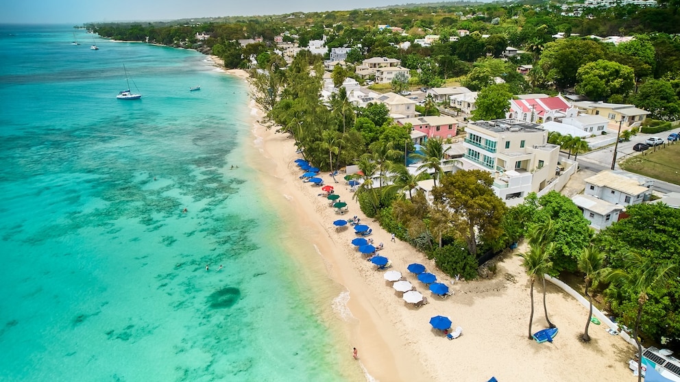Eines der besten Reiseerlebnisse 2025 gekürt von National Geographic führt Sie nach Barbados
