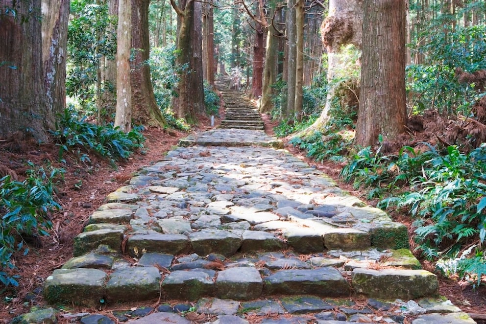 Kumano Kodo among the best hiking trails in the world