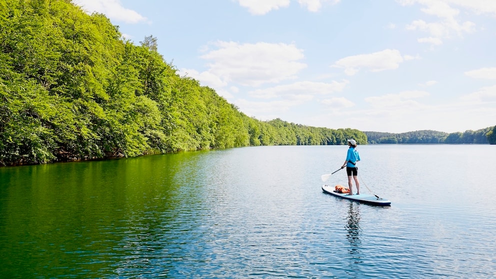 Die Feldberger Seenlandschaft ist ein wahres Naturparadies innerhalb Deutschlands