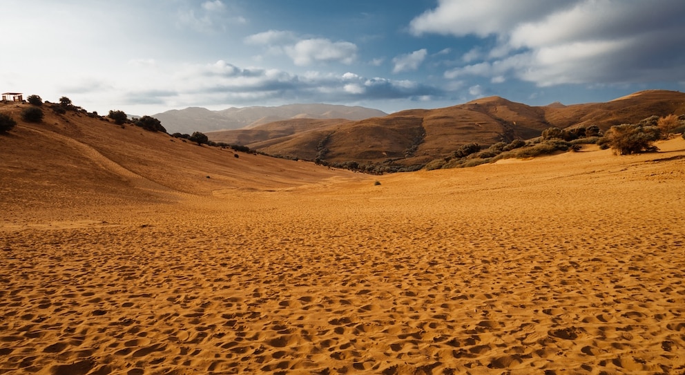 Die Wüste der Insel sollte man sich auf keinen Fall entgehen lassen