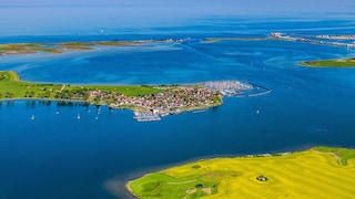 Schlei