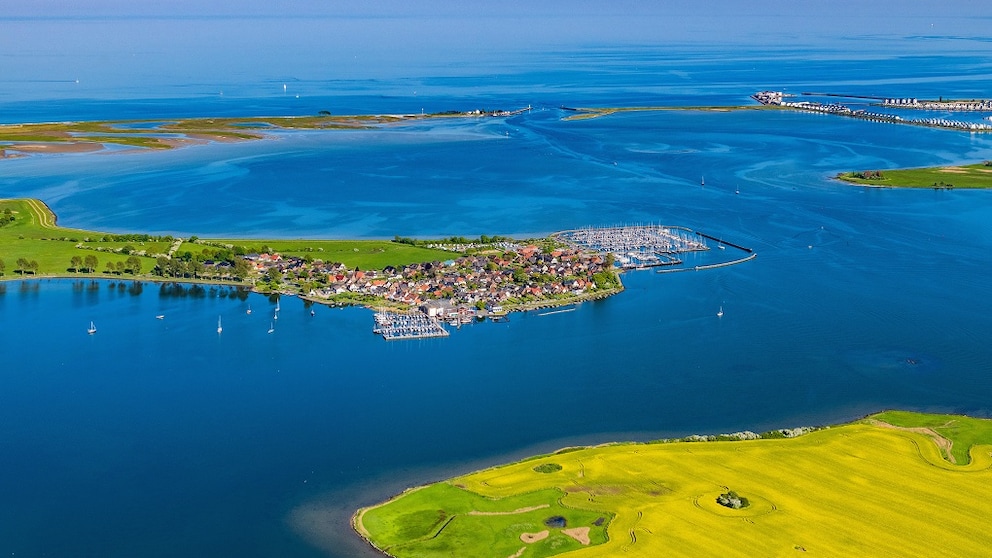 Schlei