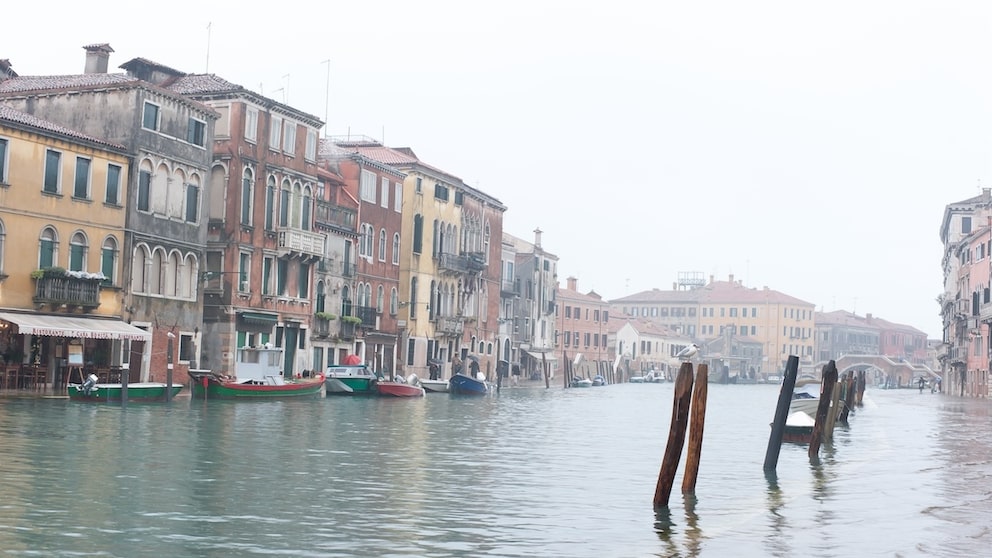 Rettung für Venedig durch Anhebung?
