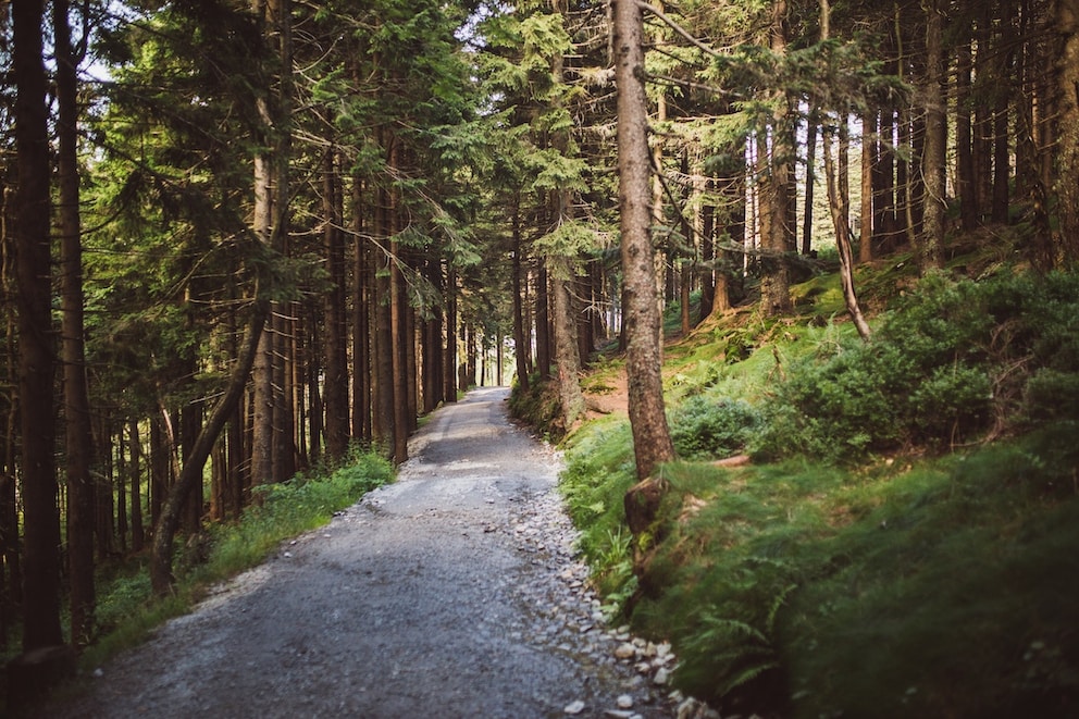 6 Wanderwege im Bayerischen Wald, die noch echte Geheimtipps sind