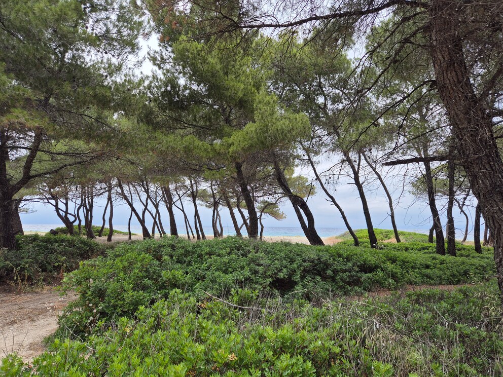 best beach Chalkidiki