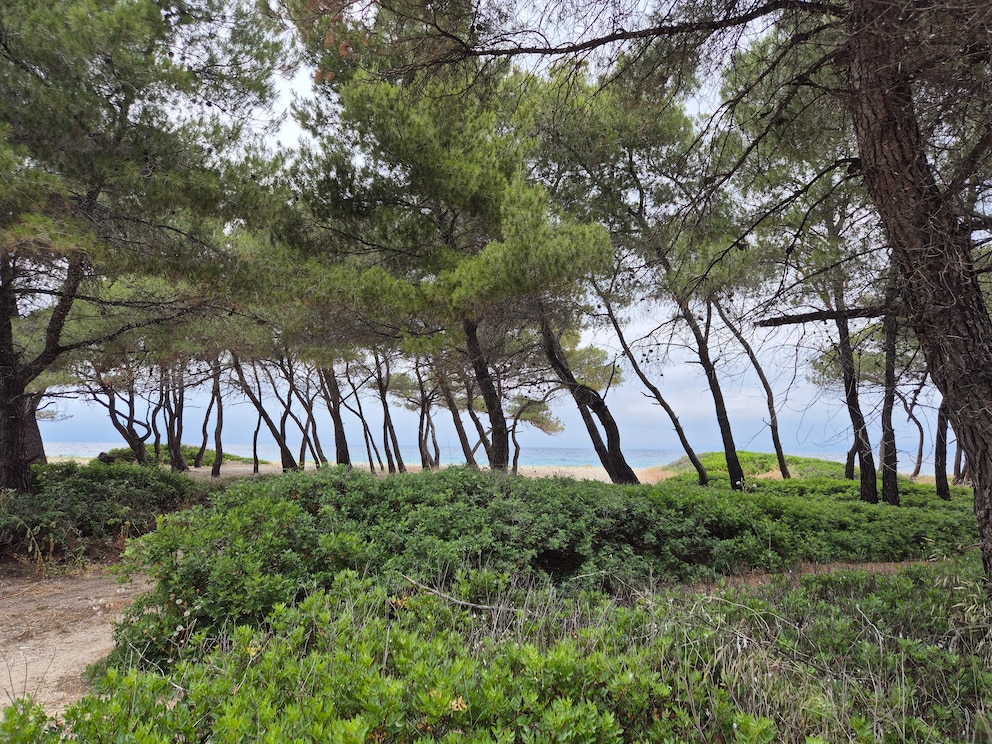 bester Strand Chalkidiki