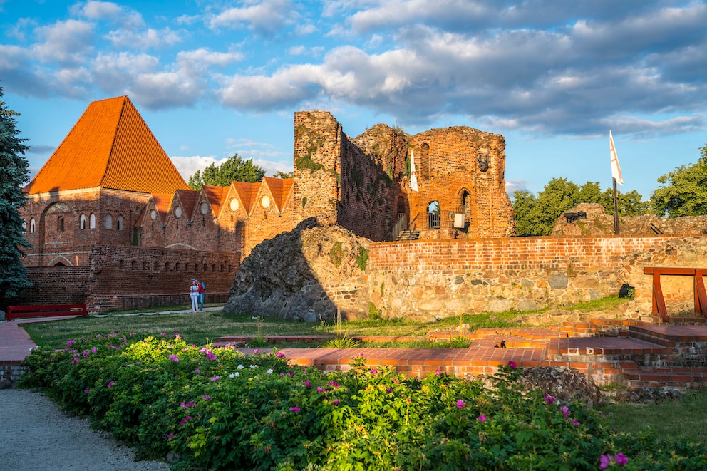 Castle ruins Thorn