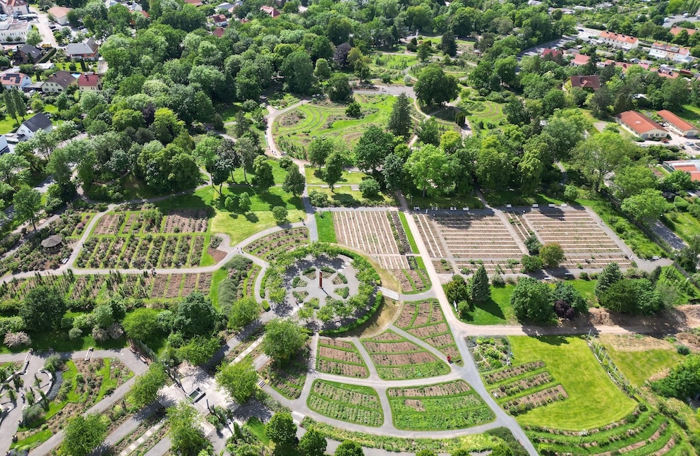 Blick über das Areal des Rosariums