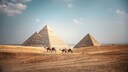 Kamele und Pyramiden in &Auml;gypten