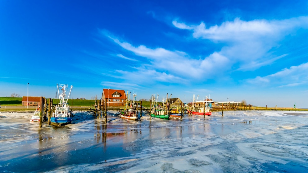 In Butjadingen an der Nordsee gilt als besonders familienfreundlich