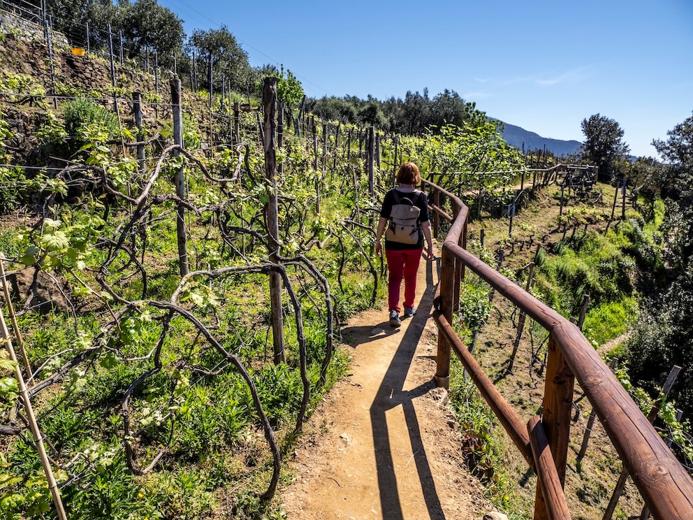 Cinque Terre Wandern