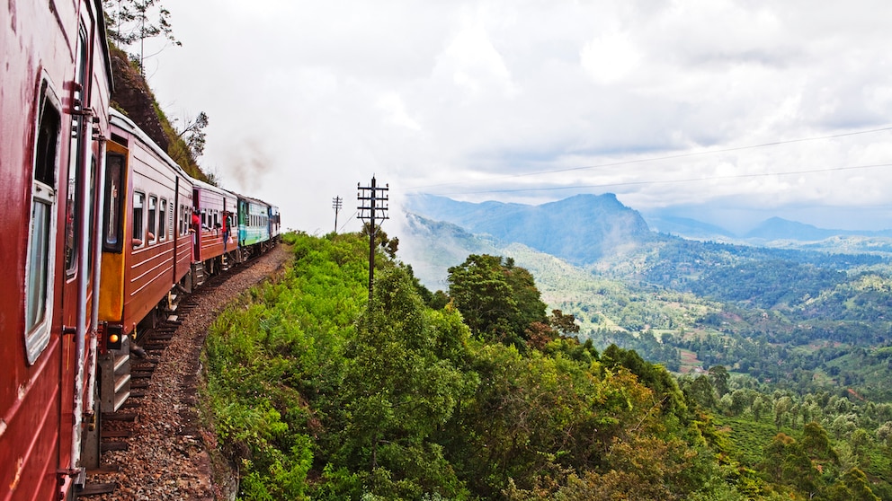 Wenn man Sri Lanka erkunden möchte, sollte man sich zuvor über sinnvolle Impfungen informieren