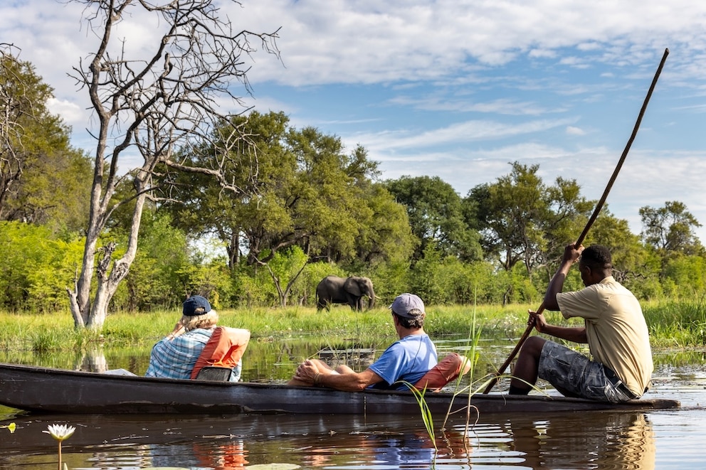 Das Okavango-Delta gehört zum UNESCO-Welterbe