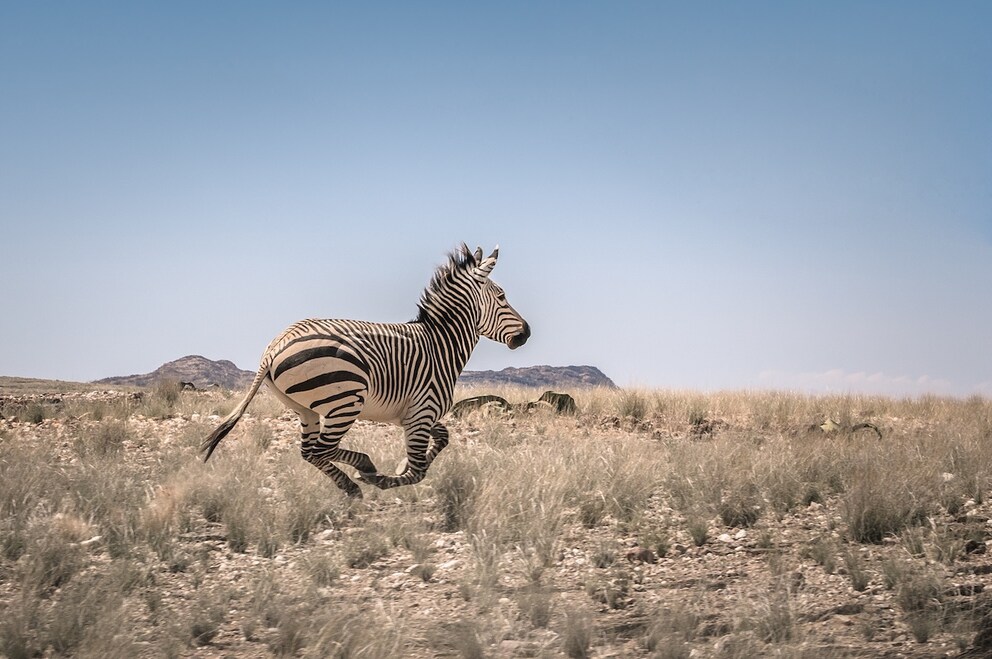 Iona National Park is located in southwestern Angola