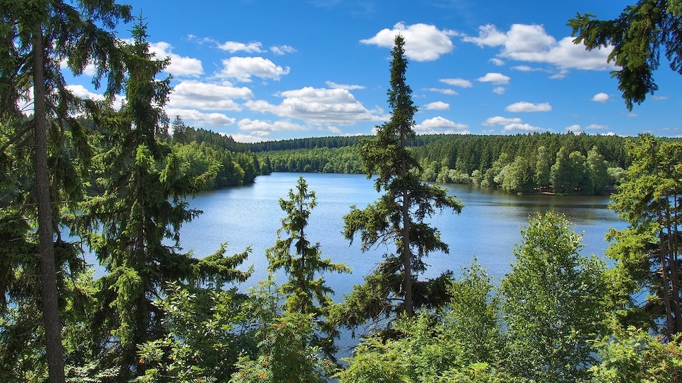 Nationalpark Harz
