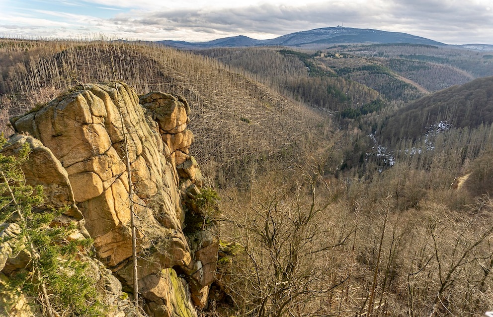 Nationalpark Harz