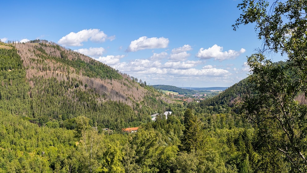 Okertal