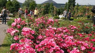 Rosarium Sangerhausen