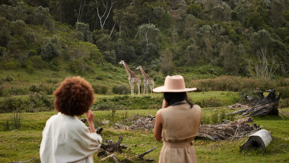 Zwei Frauen fotografieren Giraffen
