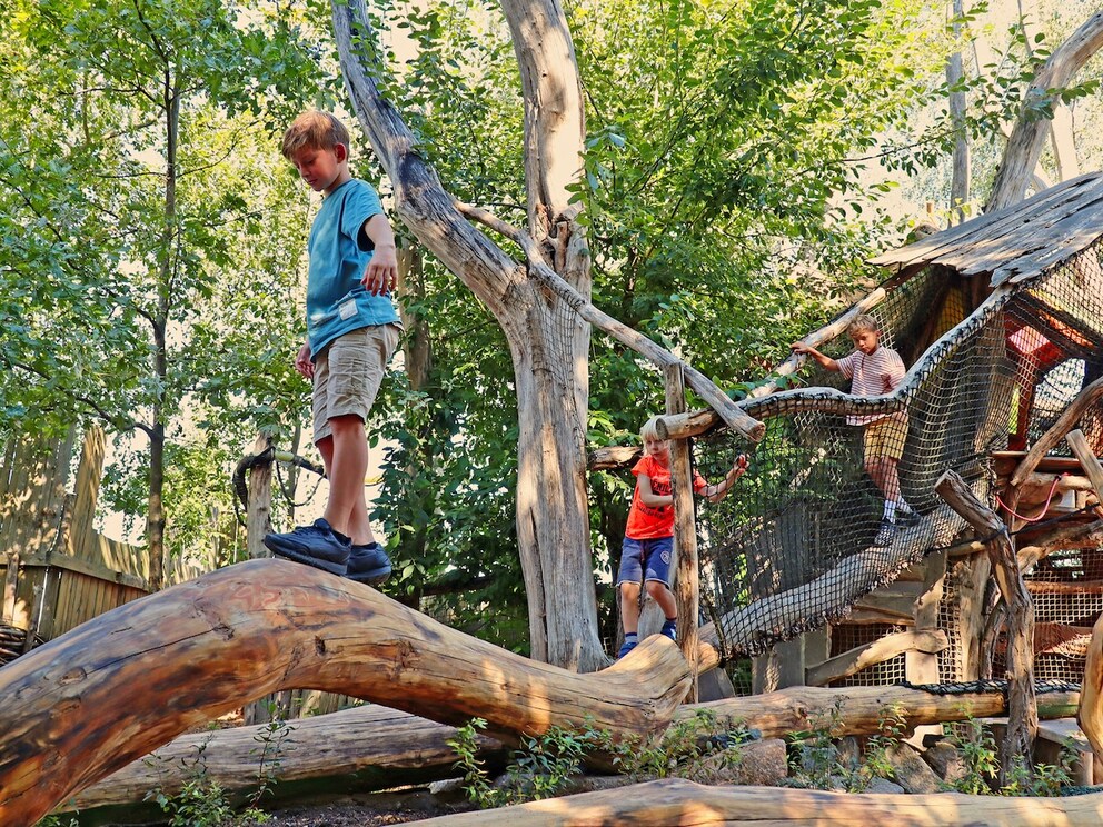 “ArkaZien” opens on September 3 and offers many climbing opportunities for young and old