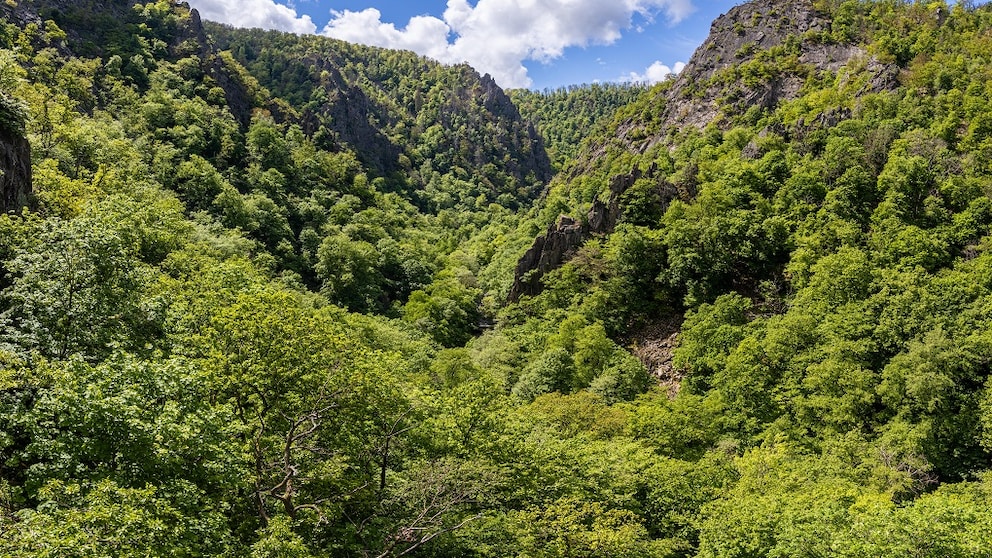 Bodetal