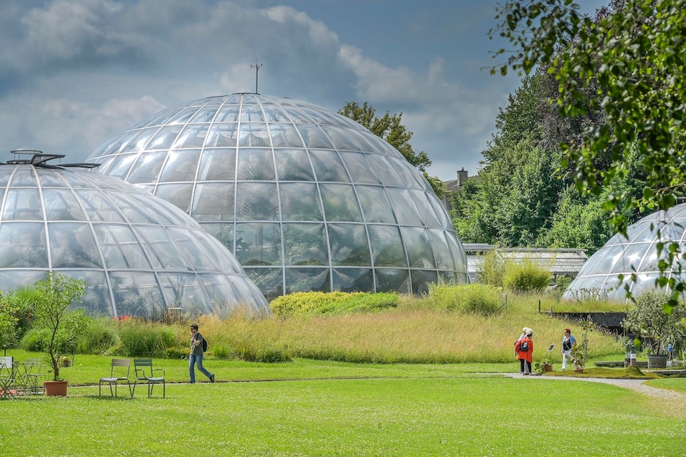 Botanischer Garten Z&uuml;rich