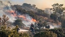 Feuerwehr beim L&ouml;schen eines Waldbrands auf Kreta