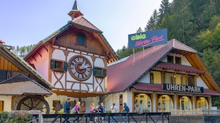 Kuckucksuhr Triberg