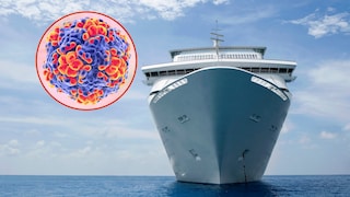 Kreuzfahrtschiffe und das Norovirus – warum diese beiden Themen leider gut zusammenpassen